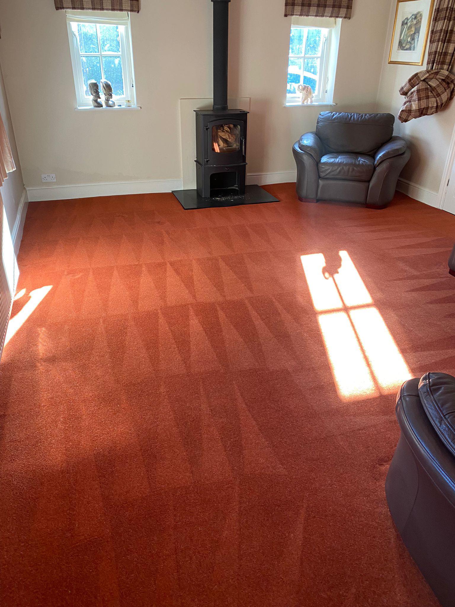 Freshly cleaned carpet in living room