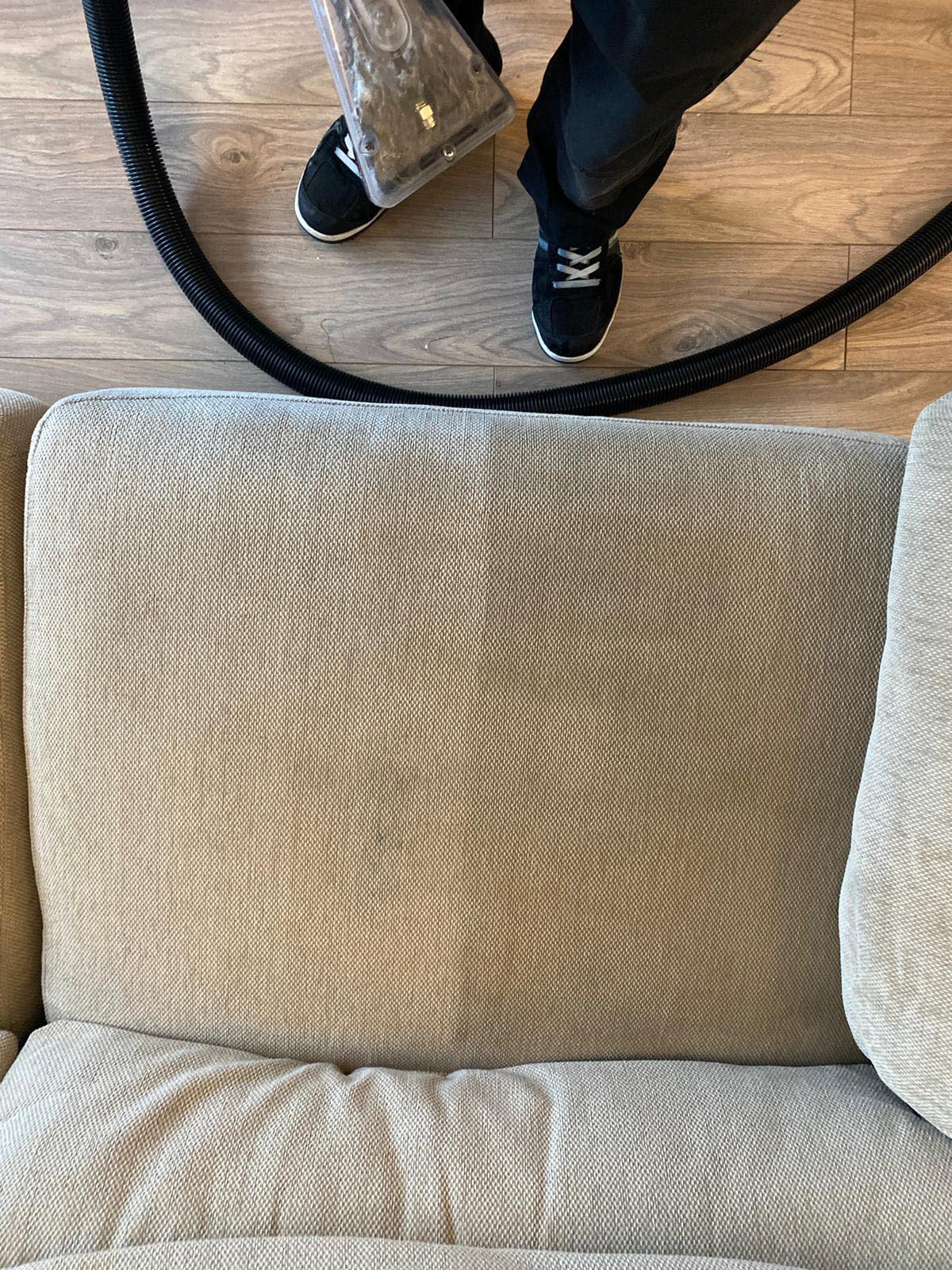 Sofa upholstery cleaning in progress